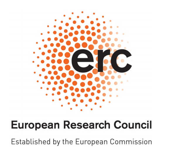 ERC Starting Grant "Fasto-Cat"