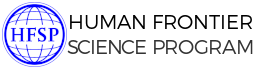 HFSP (Human Frontier Science Program): "Structure and biophysics of disordered domains mediating RNP granules: from atoms to cells"