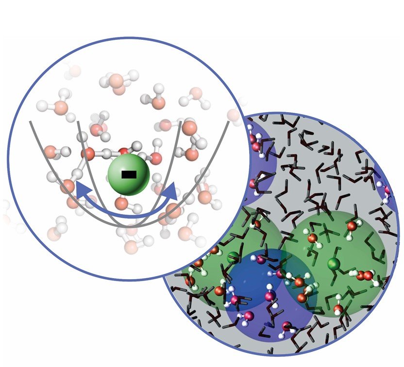 Dynamics of Electrolytes