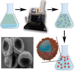 M.S. Alkanawati, F.R. Wurm, H. Therien-Aubin, K. Landfester: „Large-Scale Preparation of Polymer Nanocarriers by High-Pressure Microfluidization”, Macromol. Mater. Eng. 2018, 303, Article Number 1700505