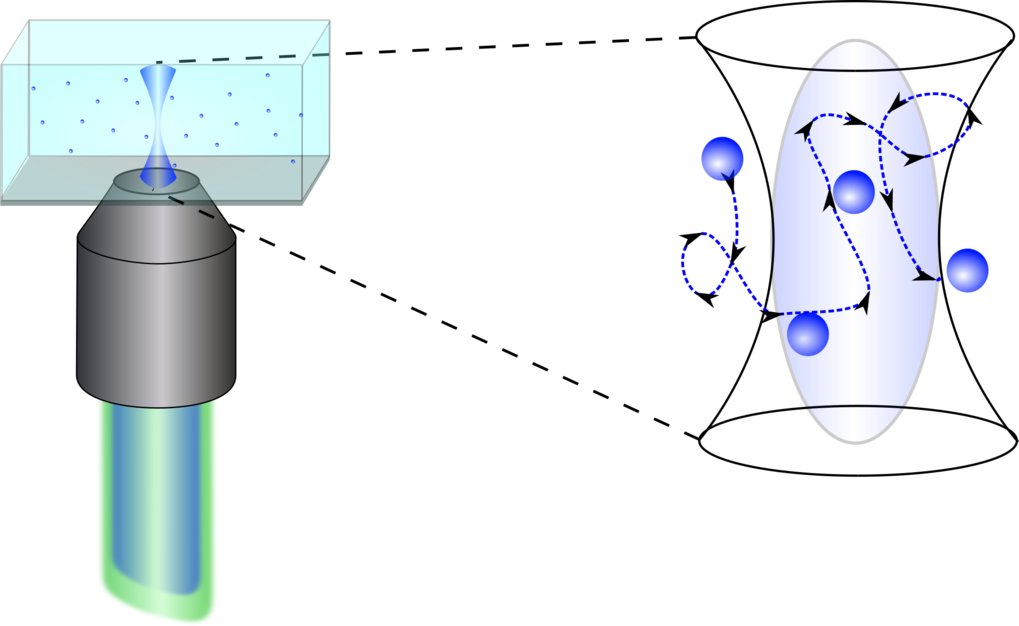 Fluorescence Correlation Spectroscopy