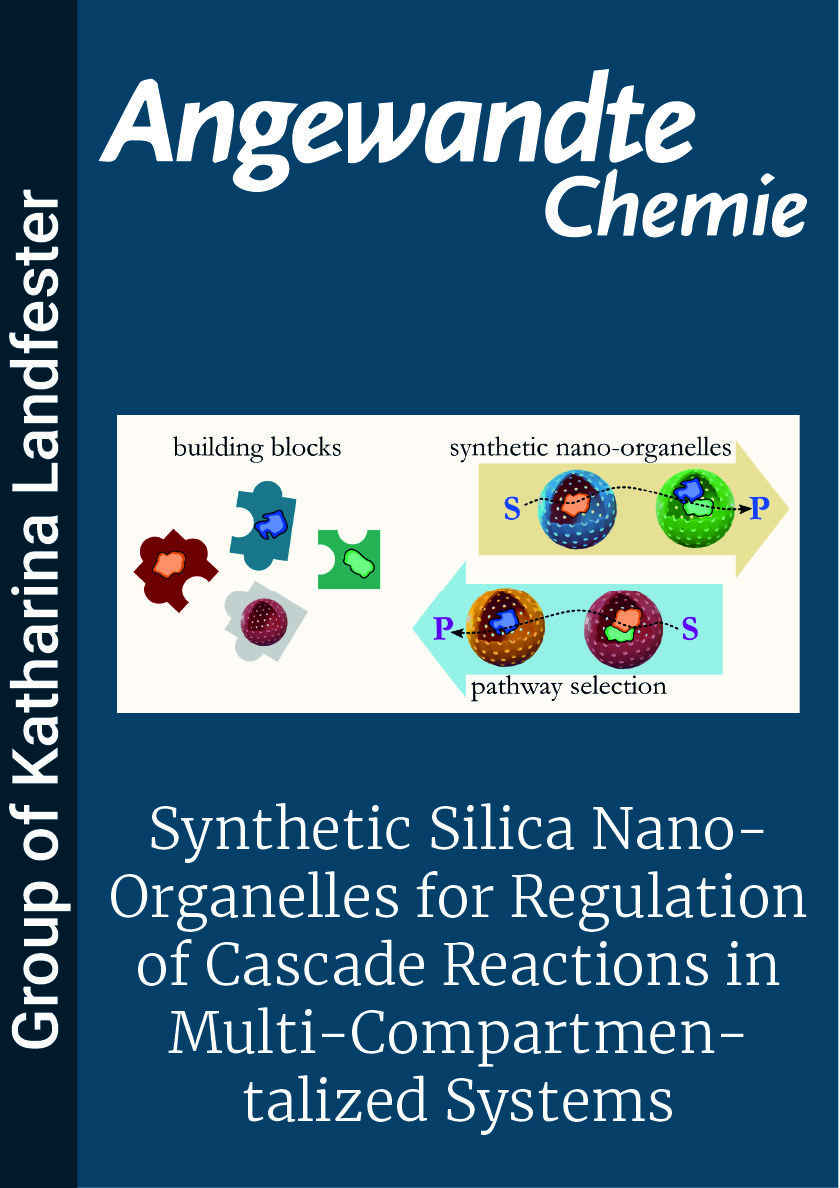 Synthetic Silica Nano-Organelles for Regulation of Cascade Reactions in Multi-Compartmentalized Systems