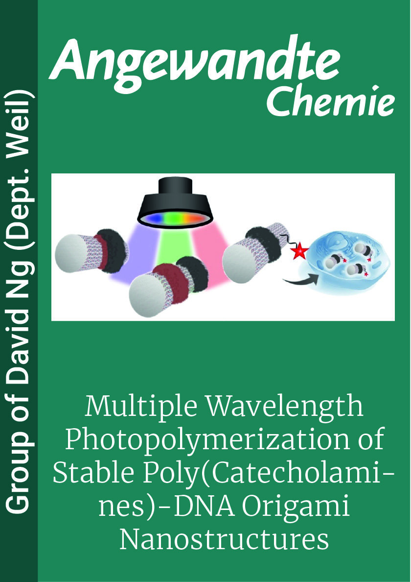 Multiple Wavelength Photopolymerization of Stable Poly(Catecholamines)-DNA Origami Nanostructures