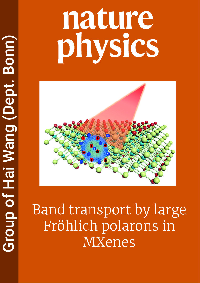 Band transport by large Fröhlich polarons in MXenes