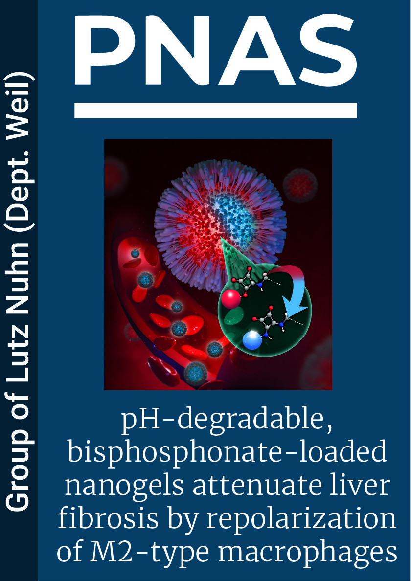 pH-degradable, bisphosphonate-loaded nanogels attenuate liver fibrosis by repolarization of M2-type macrophages