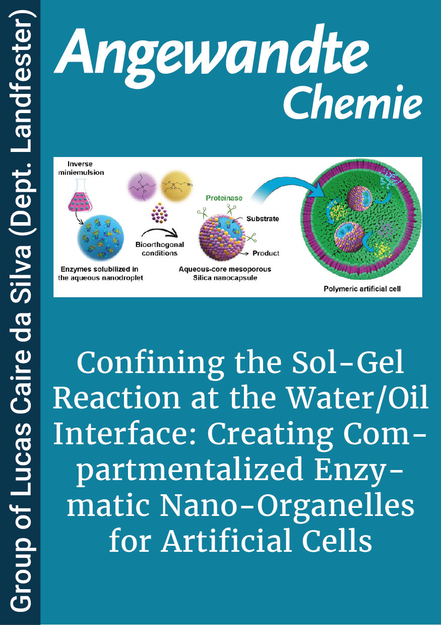 Confining the Sol-Gel Reaction at the Water/Oil Interface: Creating Compartmentalized Enzymatic Nano-Organelles for Artificial Cells