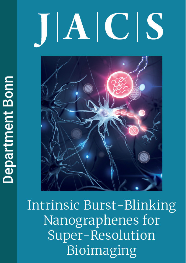 Intrinsic Burst-Blinking Nanographenes for Super-Resolution Bioimaging