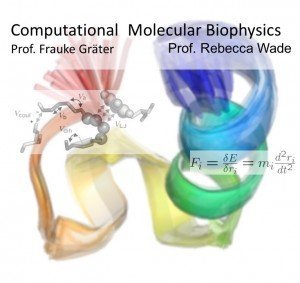 WS 2024/25: Lectures and Hands-on sessions in computational molecular biophysics